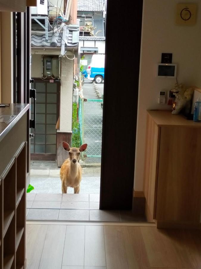 Mini Inn Nara- - 外国人向け - 日本人予約不可 Екстер'єр фото