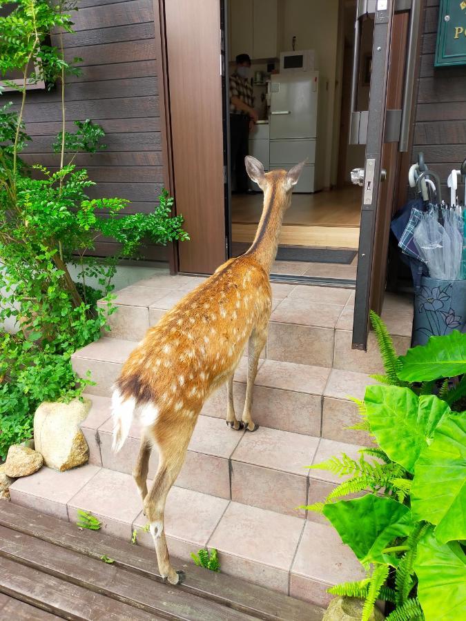 Mini Inn Nara- - 外国人向け - 日本人予約不可 Екстер'єр фото